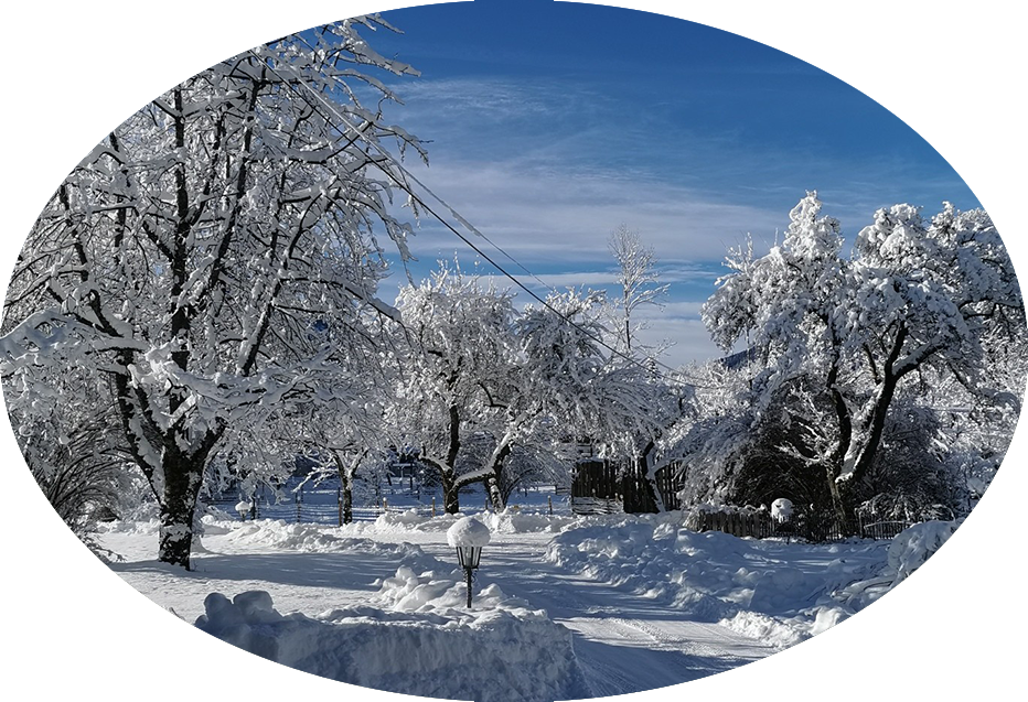 Winter